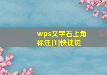 wps文字右上角标注[1]快捷键